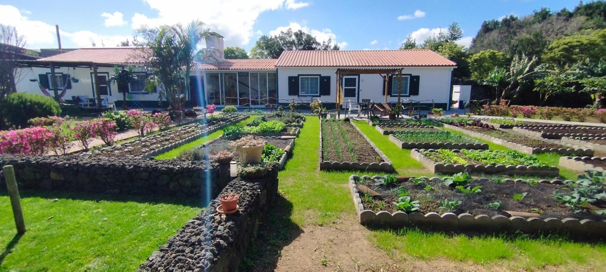 Quinta Dos Sentidos , Rustic Holiday Houses In São Vicente Ferreira Exterior foto