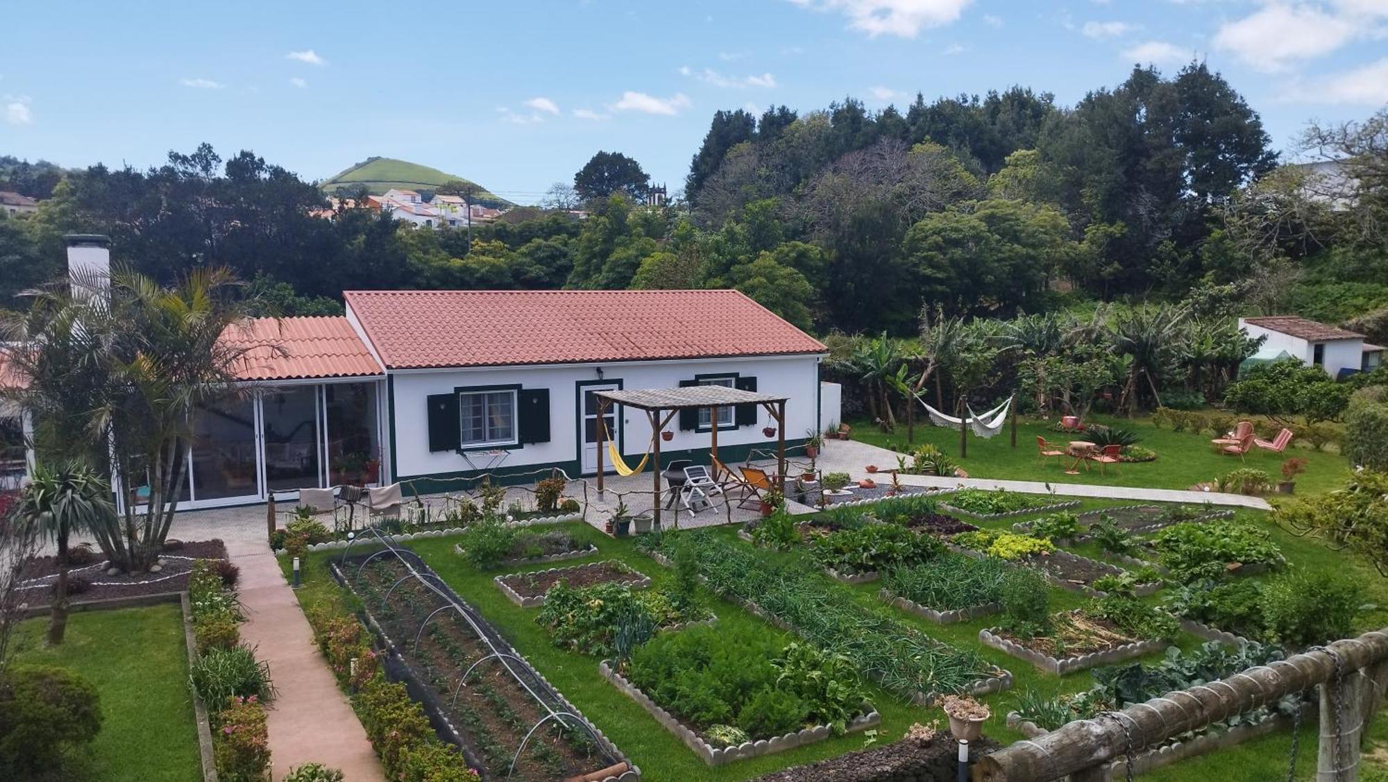 Quinta Dos Sentidos , Rustic Holiday Houses In São Vicente Ferreira Exterior foto